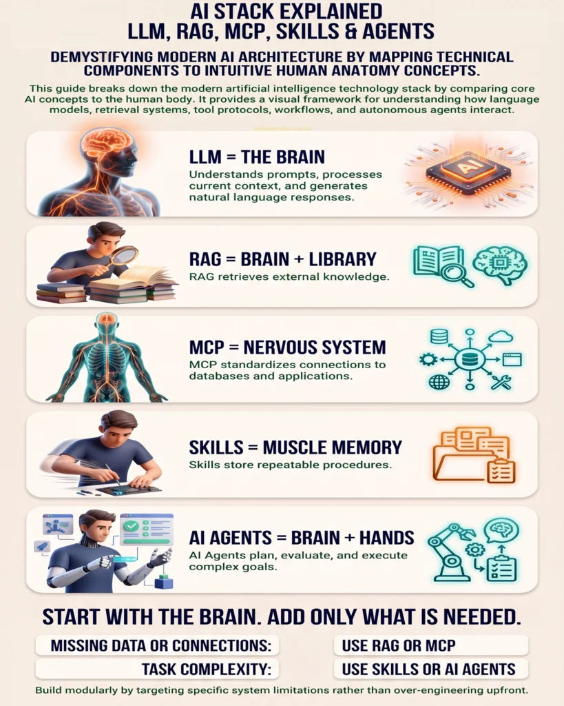 AI Stack Explained Like a Human Body AI_Stack_Explained_Infographic